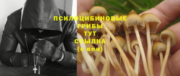 трава Алзамай