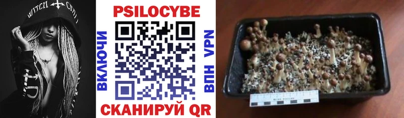 где продают наркотики  Ликино-Дулёво  Галлюциногенные грибы мухоморы 